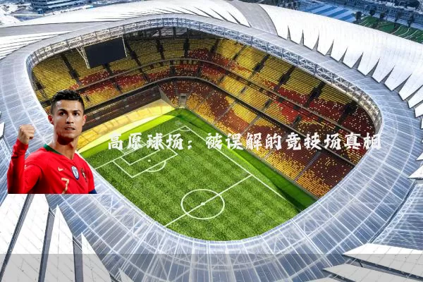 高原球场：被误解的竞技场真相